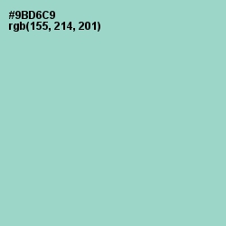 #9BD6C9 - Sinbad Color Image