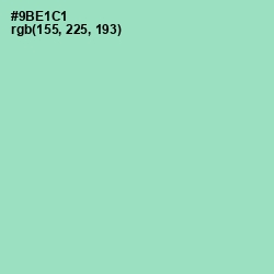 #9BE1C1 - Riptide Color Image