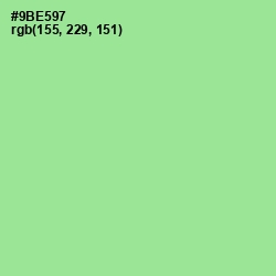 #9BE597 - Granny Smith Apple Color Image