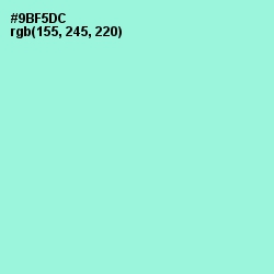 #9BF5DC - Riptide Color Image