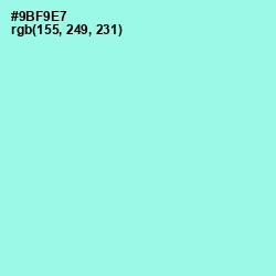 #9BF9E7 - Anakiwa Color Image