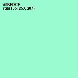 #9BFDCF - Riptide Color Image