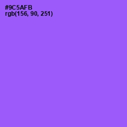 #9C5AFB - Medium Purple Color Image