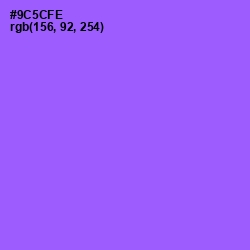 #9C5CFE - Medium Purple Color Image