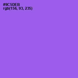 #9C5DEB - Medium Purple Color Image