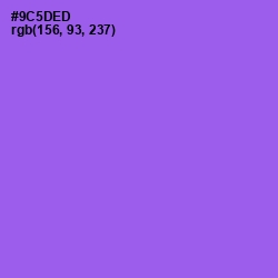 #9C5DED - Medium Purple Color Image