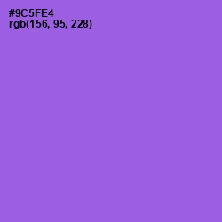 #9C5FE4 - Medium Purple Color Image