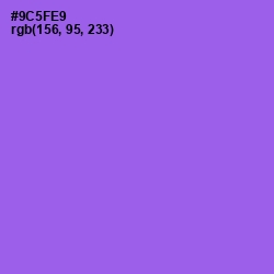 #9C5FE9 - Medium Purple Color Image