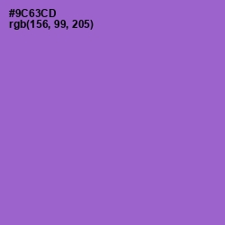 #9C63CD - Amethyst Color Image