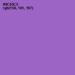 #9C65C5 - Amethyst Color Image