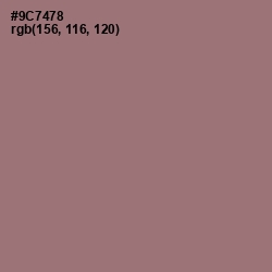 #9C7478 - Bazaar Color Image