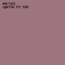 #9C757E - Bazaar Color Image