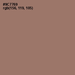 #9C7769 - Toast Color Image