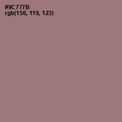 #9C777B - Bazaar Color Image