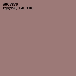 #9C7876 - Bazaar Color Image