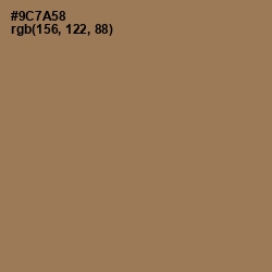 #9C7A58 - Leather Color Image