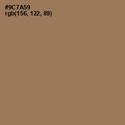 #9C7A59 - Leather Color Image