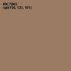 #9C7B65 - Toast Color Image
