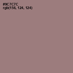 #9C7C7C - Bazaar Color Image