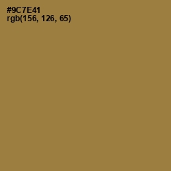 #9C7E41 - Leather Color Image