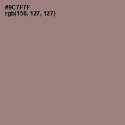 #9C7F7F - Bazaar Color Image