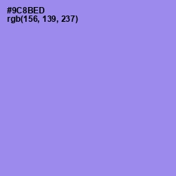 #9C8BED - Portage Color Image