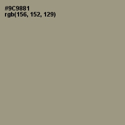 #9C9881 - Lemon Grass Color Image