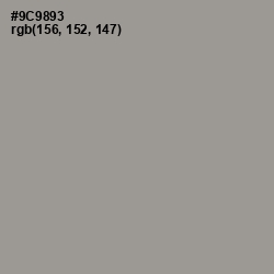 #9C9893 - Mountain Mist Color Image