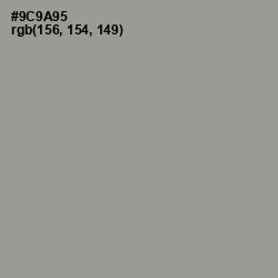 #9C9A95 - Star Dust Color Image