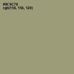 #9C9C78 - Gurkha Color Image