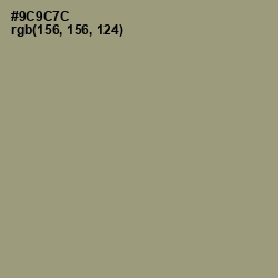 #9C9C7C - Gurkha Color Image