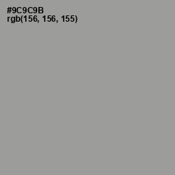 #9C9C9B - Star Dust Color Image