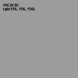 #9C9C9C - Star Dust Color Image