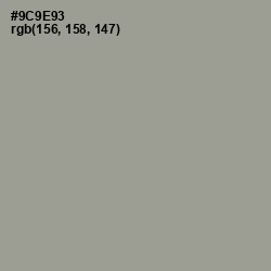 #9C9E93 - Star Dust Color Image