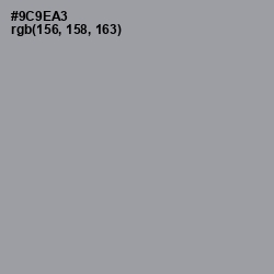 #9C9EA3 - Manatee Color Image