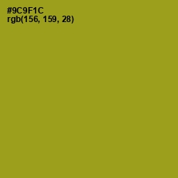 #9C9F1C - Reef Gold Color Image