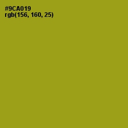 #9CA019 - Citron Color Image