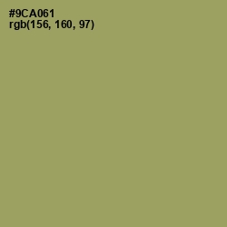 #9CA061 - Olivine Color Image