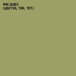 #9CA065 - Olivine Color Image