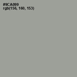 #9CA099 - Sage Color Image