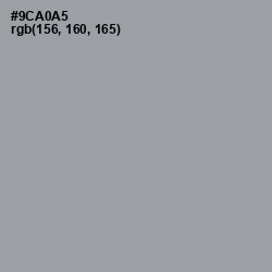 #9CA0A5 - Pewter Color Image