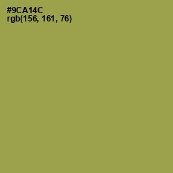 #9CA14C - Chelsea Cucumber Color Image