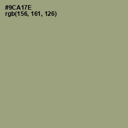 #9CA17E - Olivine Color Image