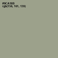 #9CA18B - Sage Color Image