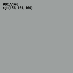 #9CA1A0 - Pewter Color Image