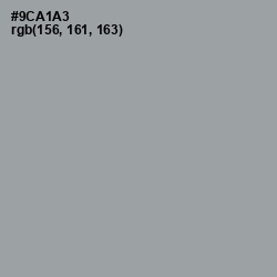 #9CA1A3 - Pewter Color Image