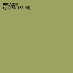 #9CA260 - Olivine Color Image