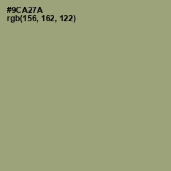 #9CA27A - Olivine Color Image