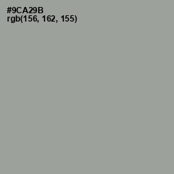 #9CA29B - Sage Color Image