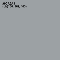 #9CA2A3 - Pewter Color Image